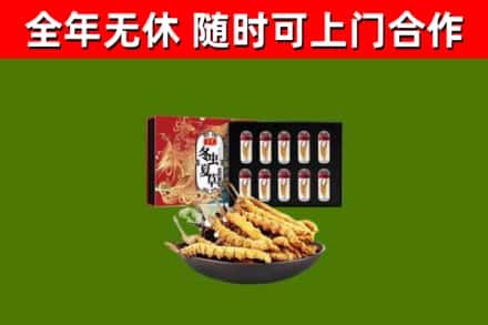 江岸回收冬虫夏草价格